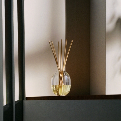 Diptyque Reed Diffuser - 34b SG + refill 200ml