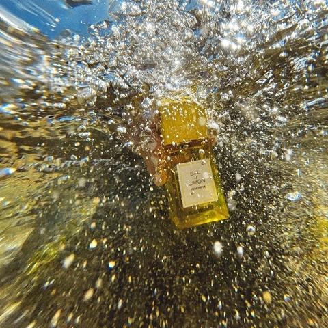 CARNER BARCELONA SAL Y LIMON