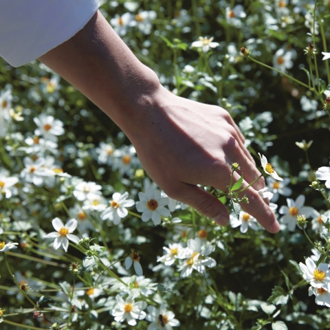 Maison Margiela PFM Replica Springtime In A Park