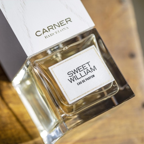 CARNER BARCELONA SWEET WILLIAM