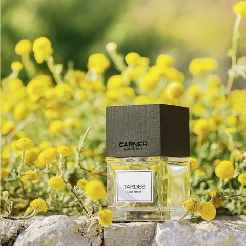 CARNER BARCELONA TARDES