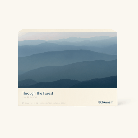 d'Annam - Through The Forest