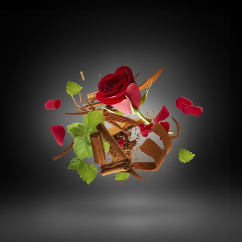 XERJOFF TONY IOMMI DEIFIED