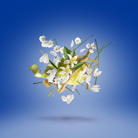 XERJOFF - TRUEBLUE CANDLE