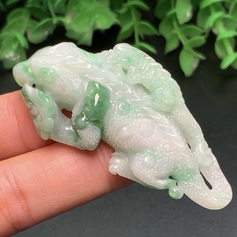 KỲ NHÔNG NGỌC PHỈ THÚY -nt260