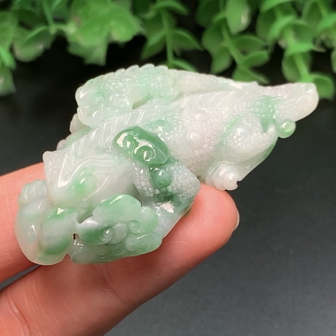 KỲ NHÔNG NGỌC PHỈ THÚY -nt260