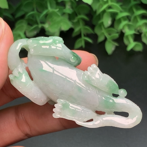 KỲ NHÔNG NGỌC PHỈ THÚY -nt260