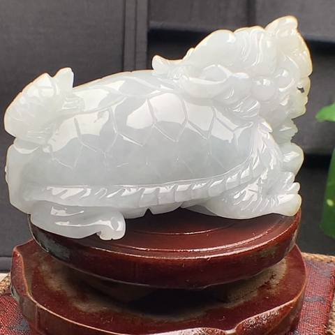 NT552 BÁCH THỌ QUY LONG