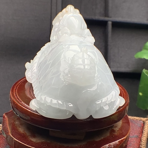 NT552 BÁCH THỌ QUY LONG