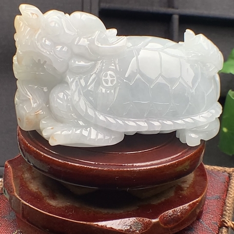 NT552 BÁCH THỌ QUY LONG