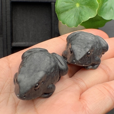 NT571  CÓC NGỌC ĐEN Ngọc phỉ thúy tự nhiên Jadeite A -