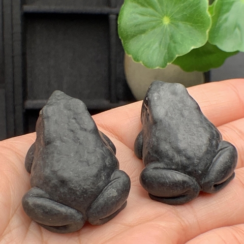 NT571  CÓC NGỌC ĐEN Ngọc phỉ thúy tự nhiên Jadeite A -