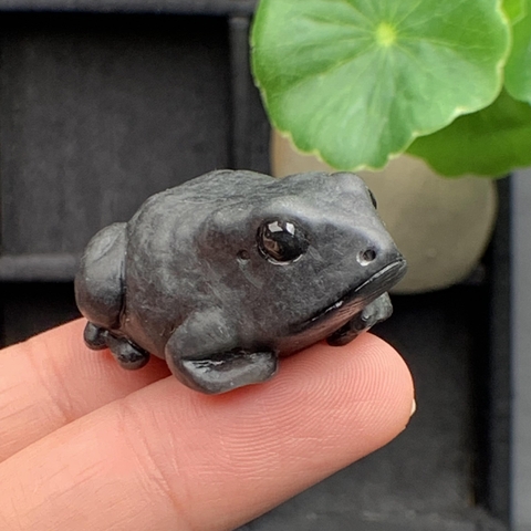 NT571  CÓC NGỌC ĐEN Ngọc phỉ thúy tự nhiên Jadeite A -