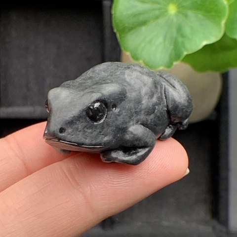 NT571  CÓC NGỌC ĐEN Ngọc phỉ thúy tự nhiên Jadeite A -