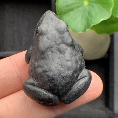 NT571  CÓC NGỌC ĐEN Ngọc phỉ thúy tự nhiên Jadeite A -