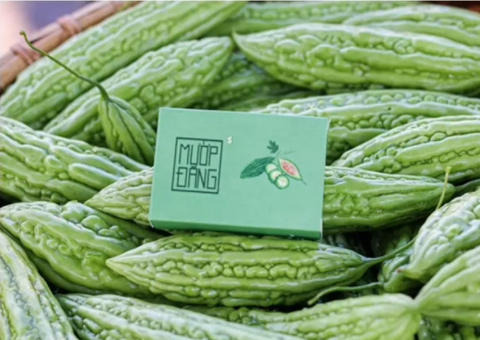 xa-bong-muop-dang-100g-bitter-melon-soap-block