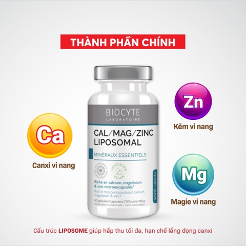 B20 Thực phẩm bảo vệ sức khỏe Cal/Mag/Zinc Liposomal - Biocyte
