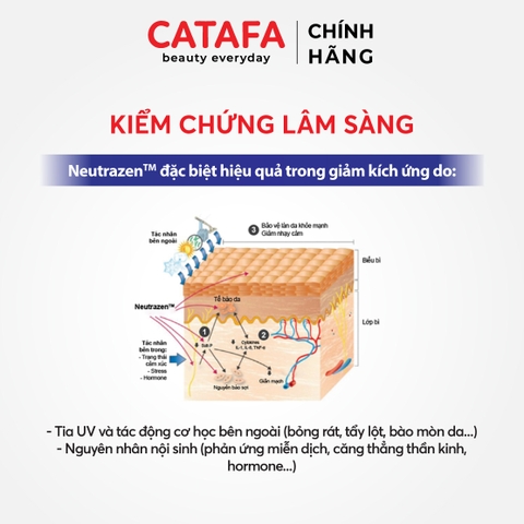 J101 Gel dưỡng ẩm, làm dịu da nhạy cảm Dermal Calming Gel - Jean d'Arcel