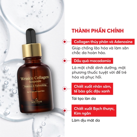 T29 Tinh chất collagen giúp giảm nhăn và săn chắc da Wrinkle Collagen Ampoule - The Skin House