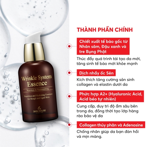 T30 Essence giúp giảm nhăn và săn chắc da Wrinkle System Essence - The Skin House