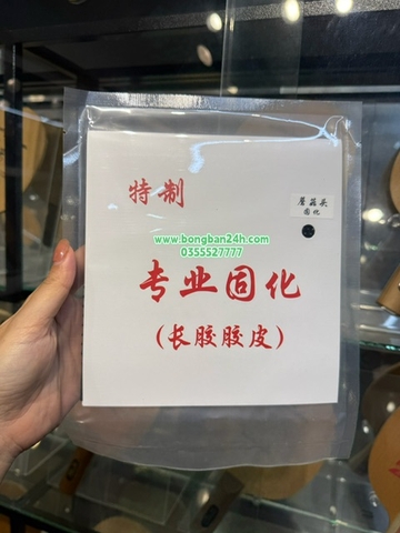 Gai thủ đầu tròn Caesar CS 927