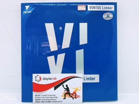 Ventus Limber