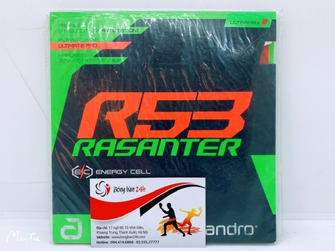 Andro Rasanter R53