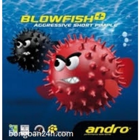 Andro Blowfish Plus