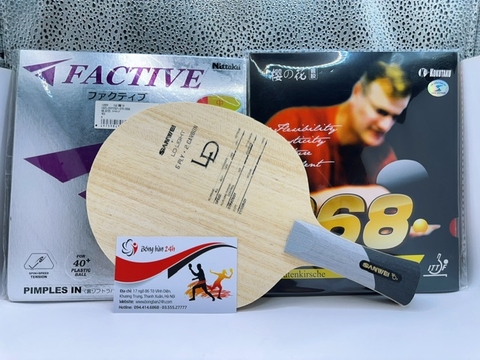 Bộ Vợt B69