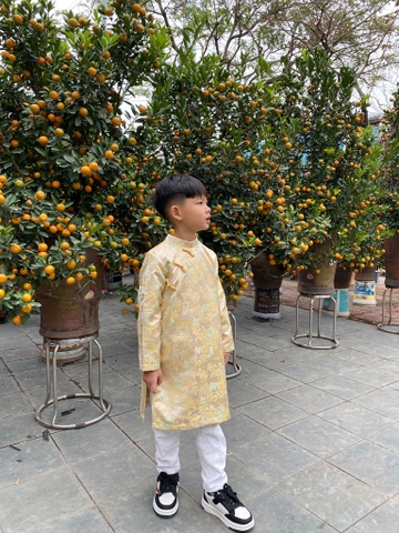 Áo dài thủy mặc cho bé trai vàng - TDAD2402V