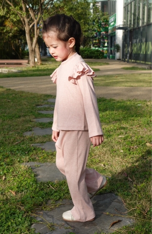 Áo bèo vai tăm tiêu màu hồng - TDF2403AH