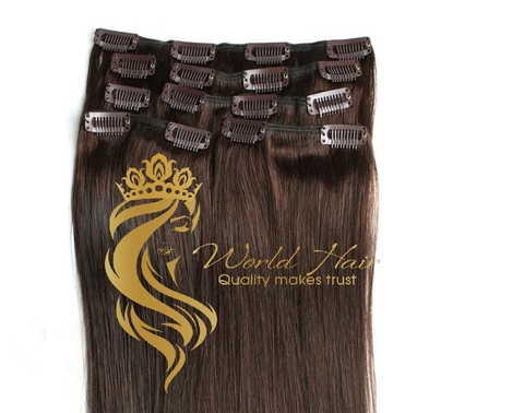 Clip in Hair Extensions 2