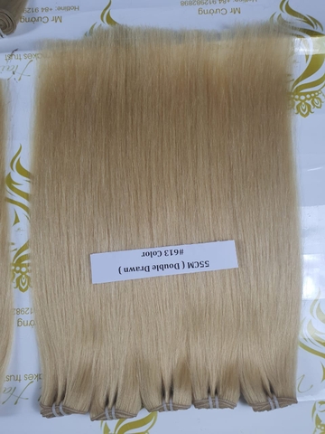Weft Hair - Color #613