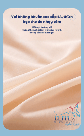 8906- Quần định hình eo