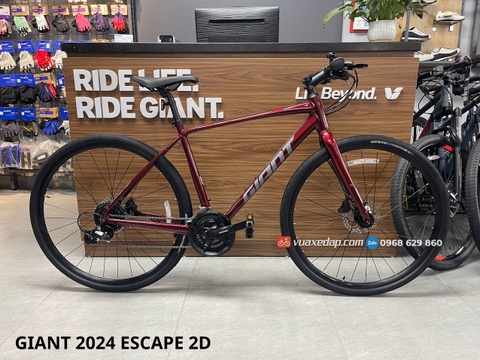 GIANT 2024 ESCAPE 2D