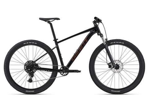 GIANT TALON 29 2 2024