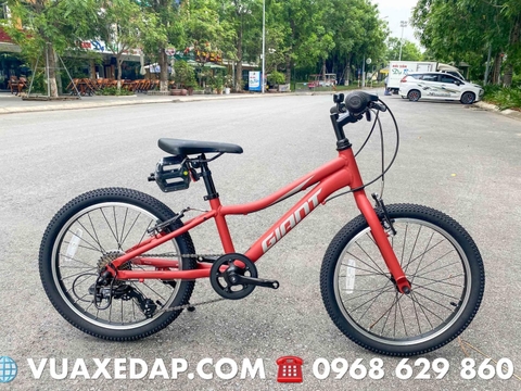 Xe đạp trẻ em GIANT XTC JR 20 LITE