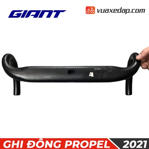 GHI ĐÔNG GIANT PROPEL ADV 1 D 2021