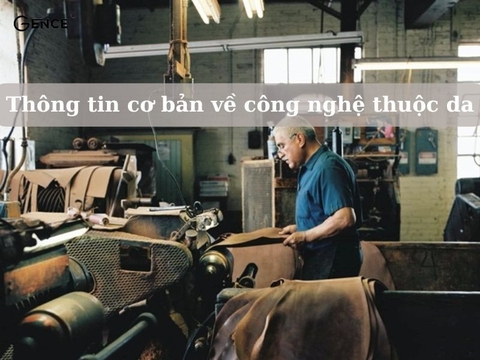 Khám phá quy trình thuộc da và các bước tạo ra da thuộc