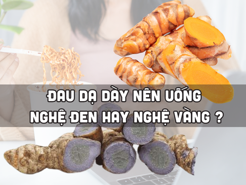 Nghệ Đen Và Nghệ Vàng: Phân Biệt, Công Dụng Và Cách Sử Dụng Hiệu Quả Nhất