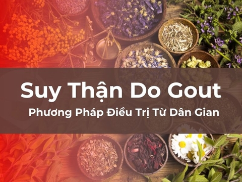 Phương Pháp Điều Trị Suy Thận Do Gout Từ Dân Gian Hiệu Quả