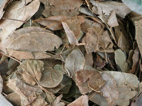 Bài thuốc trị liệt dương từ dâm dương hoắc