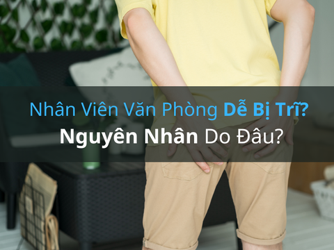 Nhân Viên Văn Phòng Dễ Bị Trĩ? Nguyên Nhân Do Đâu?