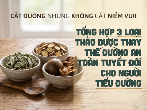 3 Thảo Dược An Toàn Thay Thế Đường Dành Cho Người Tiểu Đường