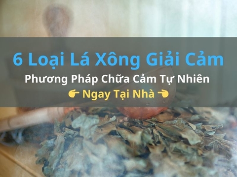 6 Loại Lá Xông Giải Cảm Hiệu Quả: Phương Pháp Chữa Cảm Tự Nhiên Ngay Tại Nhà