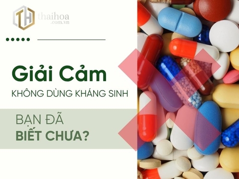 Giải Cảm Không Dùng Kháng Sinh? Bạn Đã Biết Chưa?
