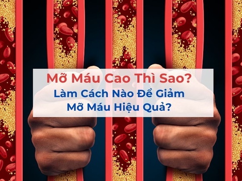 Mỡ Máu Cao Thì Sao? Làm Cách Nào Để Giảm Mỡ Máu Hiệu Quả?