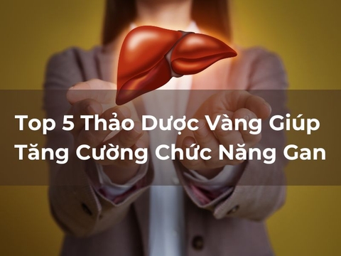 Top 5 Thảo Dược Vàng Bảo Vệ Và Tăng Cường Chức Năng Gan