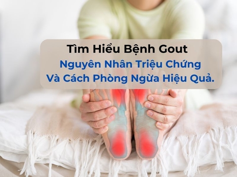 Tìm Hiểu Bệnh Gout , Nguyên Nhân Triệu Chứng Và Cách Phòng Ngừa Hiệu Quả