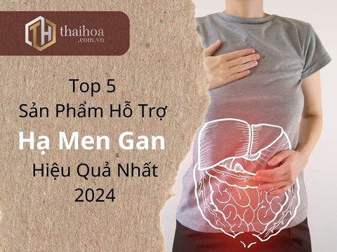 Top 5 Sản Phẩm Hỗ Trợ Hạ Men Gan Hiệu Quả Nhất 2024
